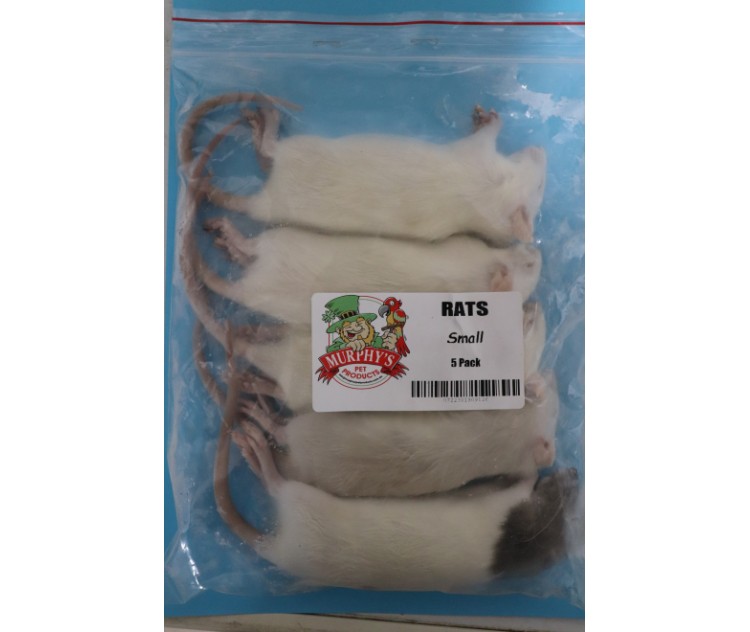 Frozen Rats